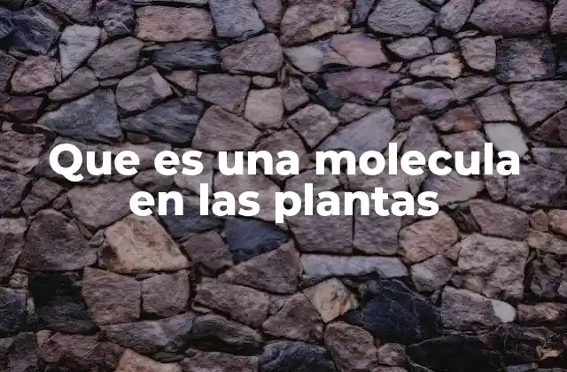 La base química de la vida vegetal