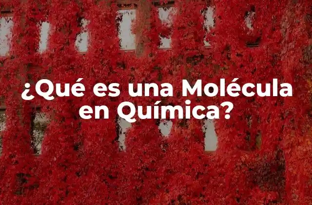 ¿qué es una Molécula en Química?