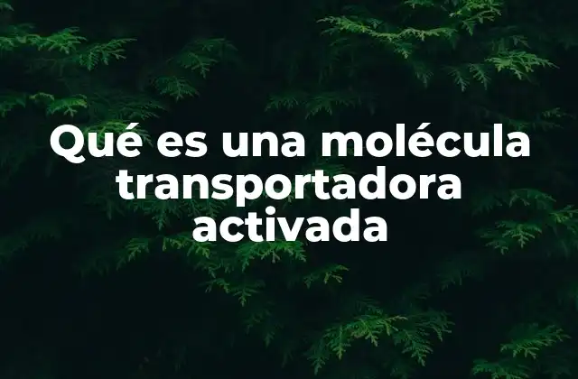 Qué es una Molécula Transportadora Activada