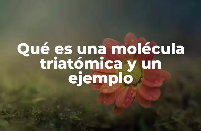 Qué es una Molécula Triatómica y un Ejemplo