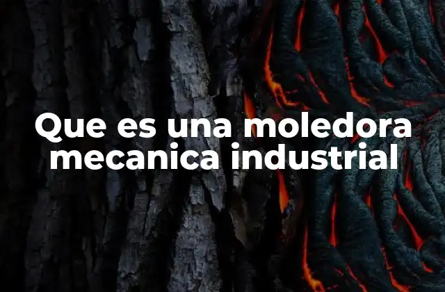 Que es una Moledora Mecanica Industrial