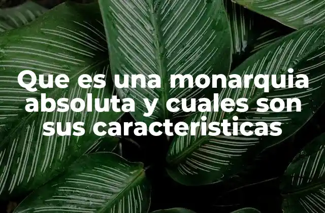 Que es una Monarquia Absoluta y Cuales Son Sus Caracteristicas