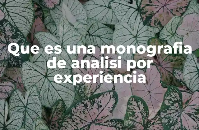 Que es una Monografia de Analisi por Experiencia