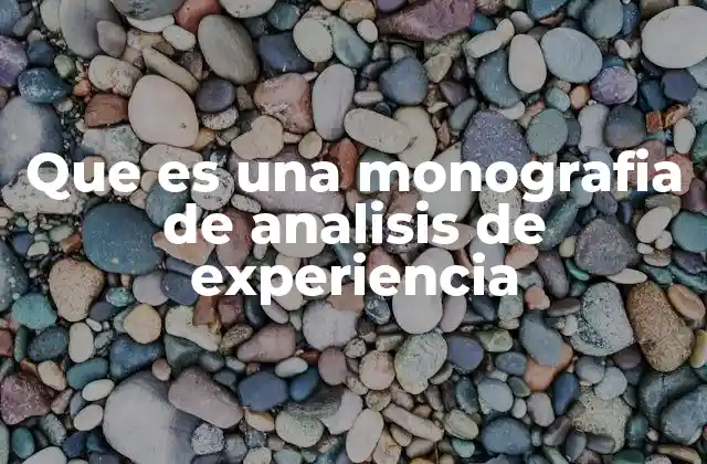 Que es una Monografia de Analisis de Experiencia