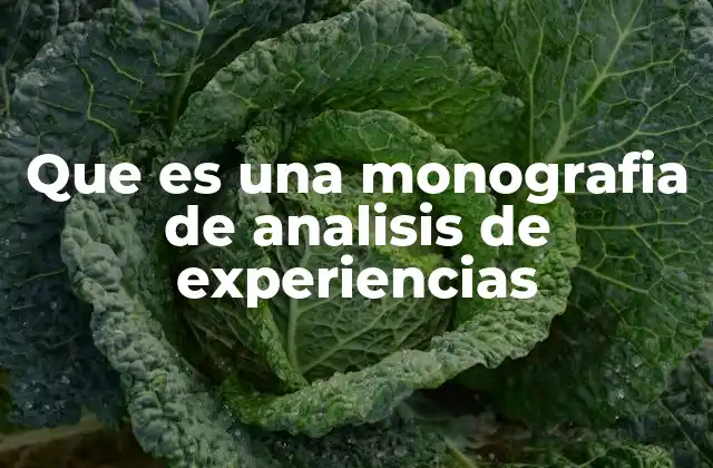 Que es una Monografia de Analisis de Experiencias