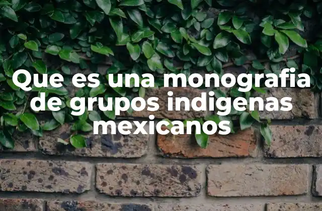 Que es una Monografia de Grupos Indigenas Mexicanos