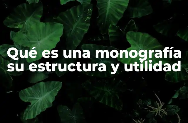 Qué es una Monografía Su Estructura y Utilidad