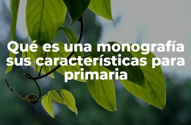 Introducción a la monografía en educación primaria