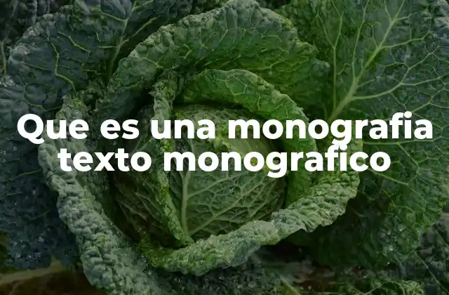 Que es una Monografia Texto Monografico
