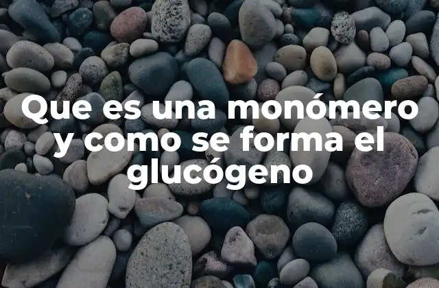 Que es una Monómero y como Se Forma el Glucógeno