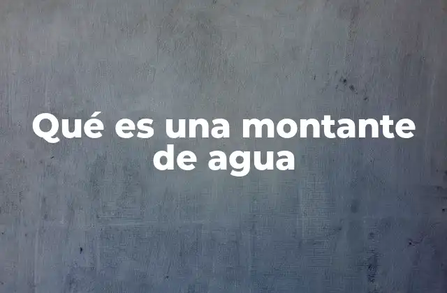 Qué es una Montante de Agua