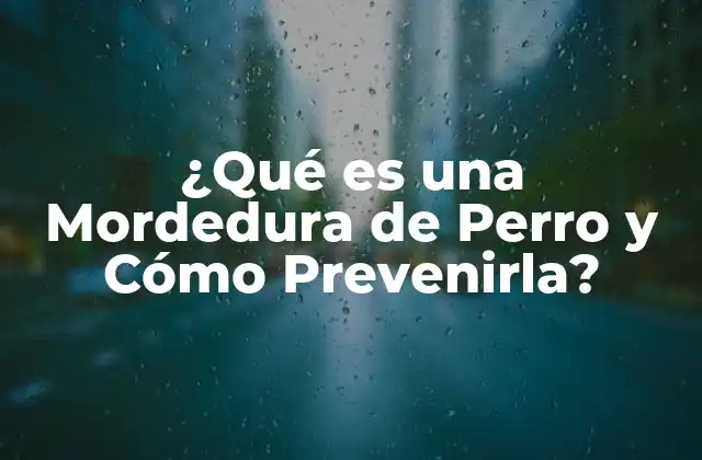 ¿qué es una Mordedura de Perro y Cómo Prevenirla?