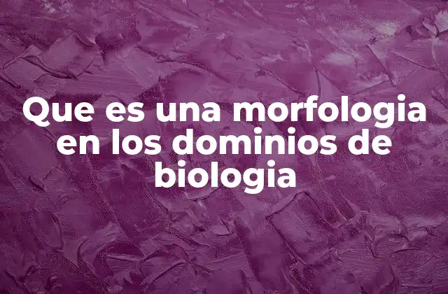 Que es una Morfologia en los Dominios de Biologia