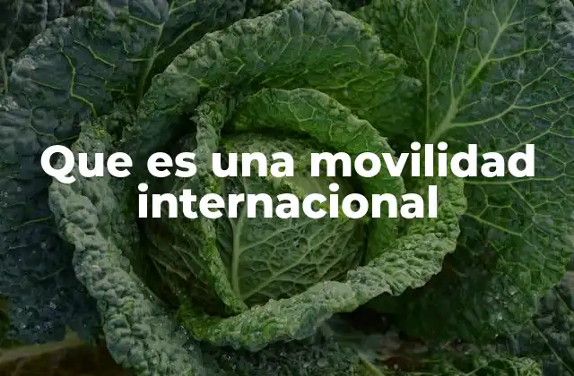 Que es una Movilidad Internacional