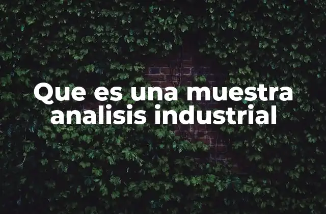 Que es una Muestra Analisis Industrial