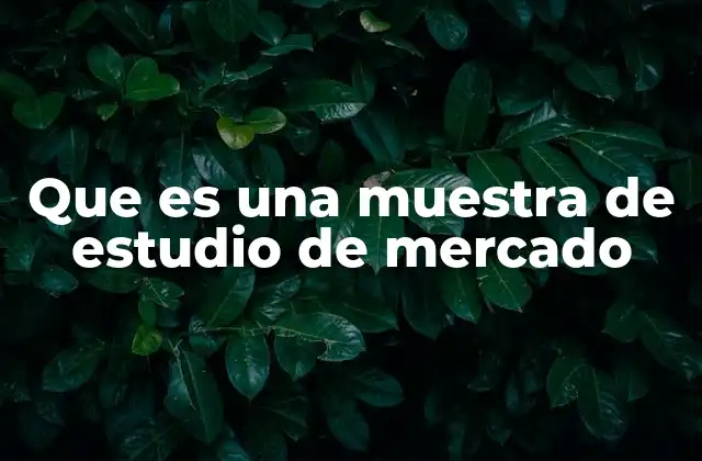 Que es una Muestra de Estudio de Mercado