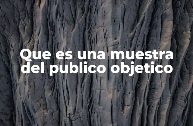 Que es una Muestra Del Publico Objetico