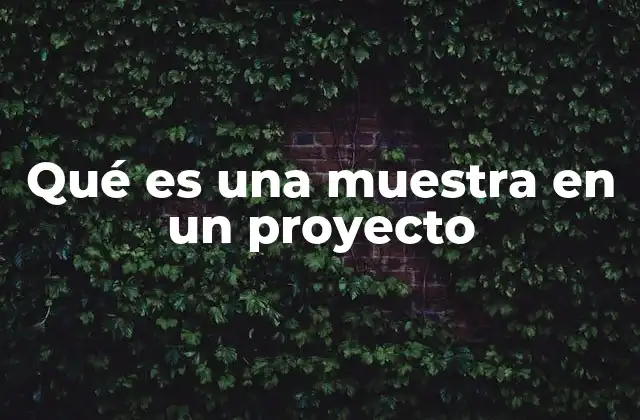 Qué es una Muestra en un Proyecto