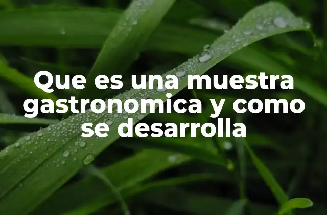 Que es una Muestra Gastronomica y como Se Desarrolla