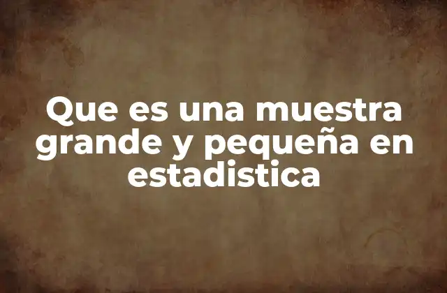 Que es una Muestra Grande y Pequeña en Estadistica