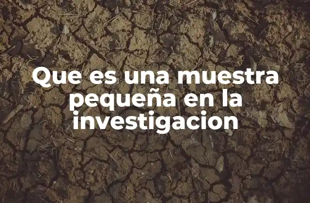 Que es una Muestra Pequeña en la Investigacion