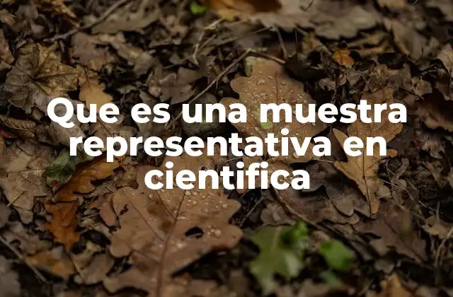 Que es una Muestra Representativa en Cientifica