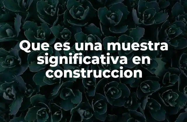 Que es una Muestra Significativa en Construccion