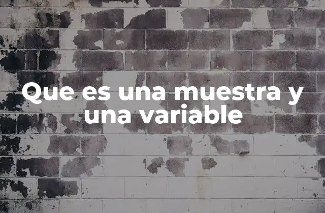 Que es una Muestra y una Variable