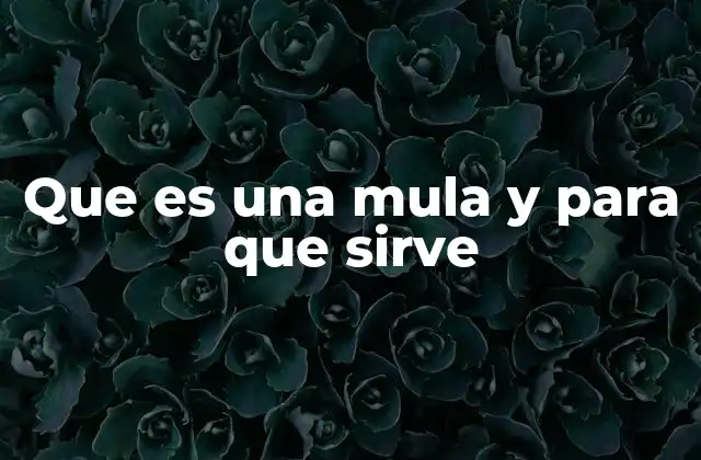 El origen de los híbridos en la domesticación animal