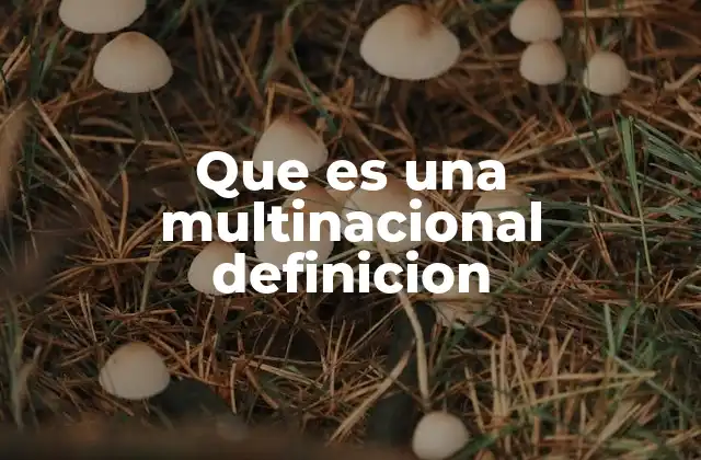 Que es una Multinacional Definicion 2 La importancia de las empresas transfronterizas en la economía global