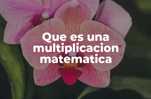 Que es una Multiplicacion Matematica