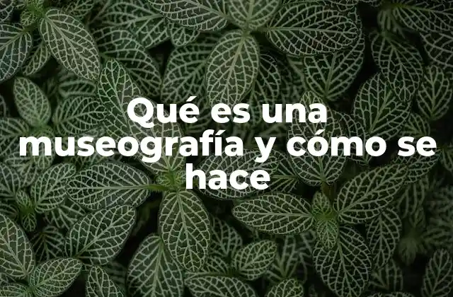 Qué es una Museografía y Cómo Se Hace