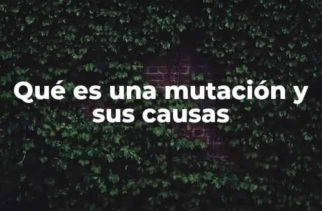 Qué es una Mutación y Sus Causas 2 Cómo se clasifican las mutaciones según su impacto