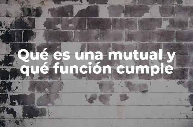 Qué es una Mutual y Qué Función Cumple