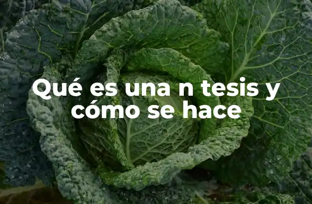 Qué es una N Tesis y Cómo Se Hace