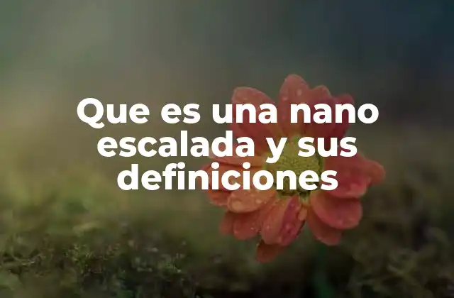 Que es una Nano Escalada y Sus Definiciones