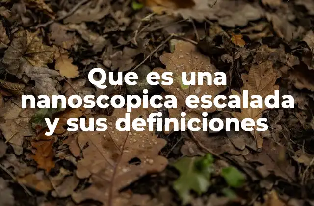 Que es una Nanoscopica Escalada y Sus Definiciones