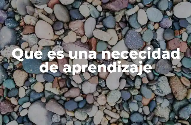 Que es una Nececidad de Aprendizaje
