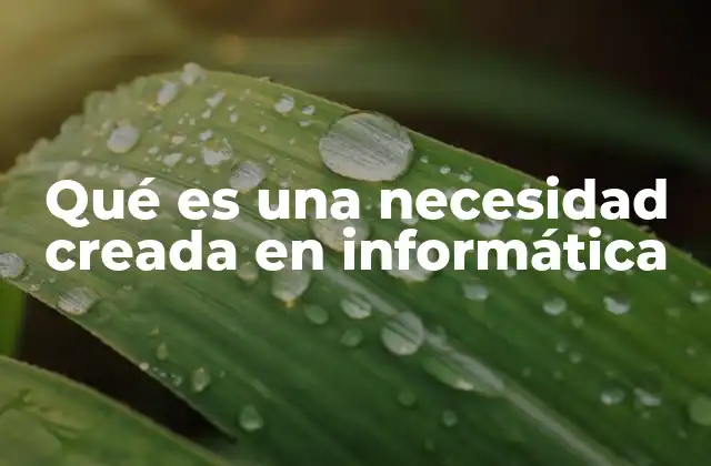 Qué es una Necesidad Creada en Informática