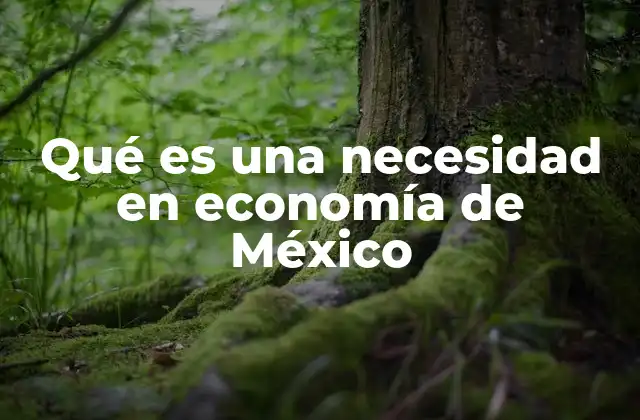 El papel de las necesidades en la estructura económica de México