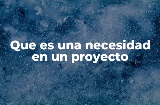 Que es una Necesidad en un Proyecto