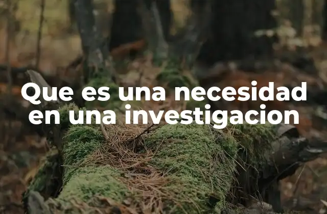Que es una Necesidad en una Investigacion