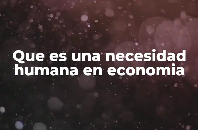 Que es una Necesidad Humana en Economia