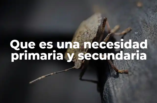 Que es una Necesidad Primaria y Secundaria