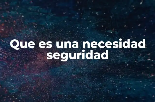 Que es una Necesidad Seguridad