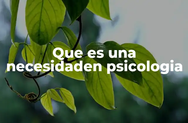 Que es una Necesidaden Psicologia