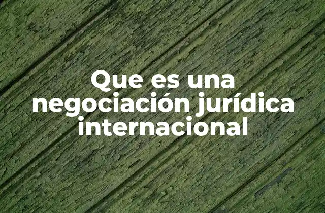 Que es una Negociación Jurídica Internacional