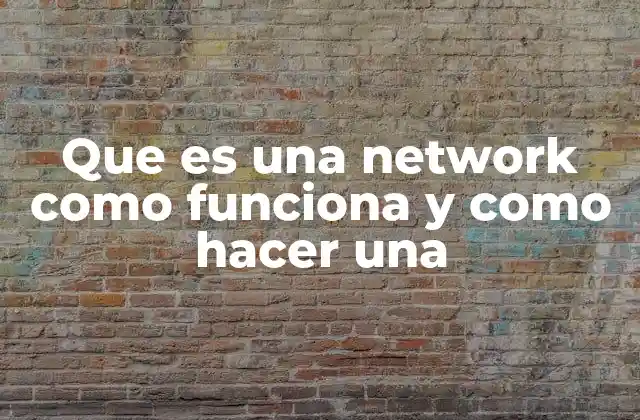 Que es una Network como Funciona y como Hacer una