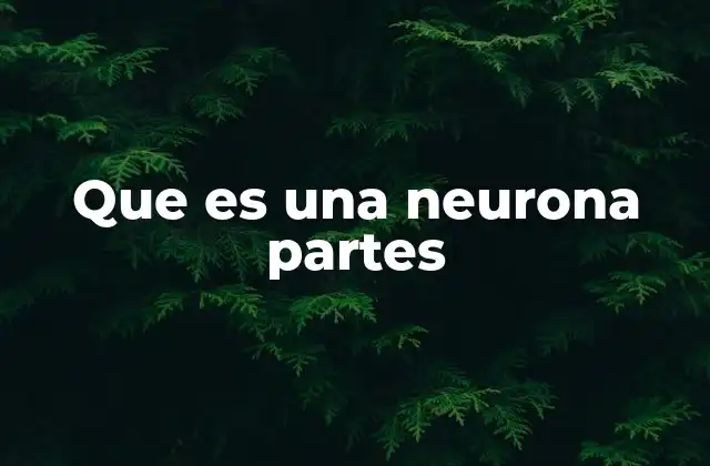 Que es una Neurona Partes