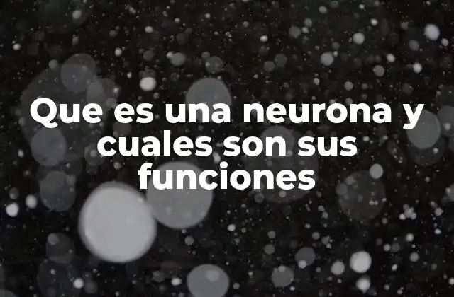Que es una Neurona y Cuales Son Sus Funciones